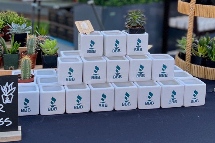 Branded Succulent Planters